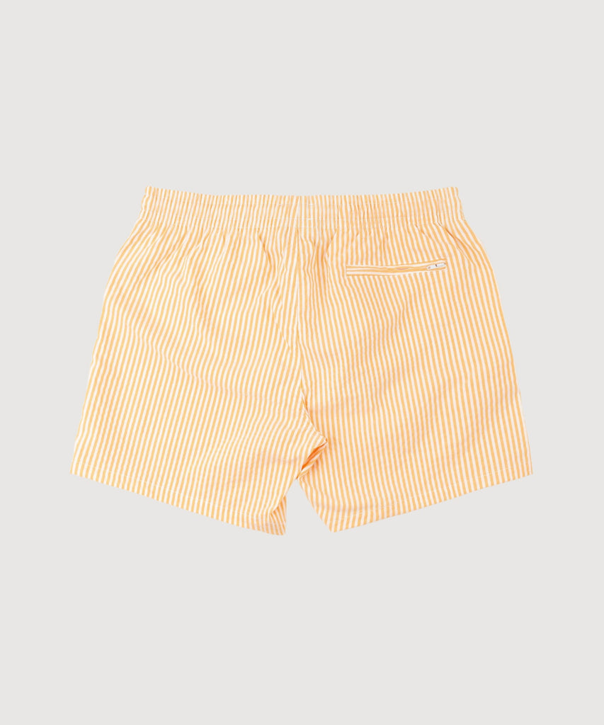 Striped Swim Shorts