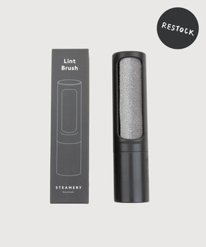 Lint Brush