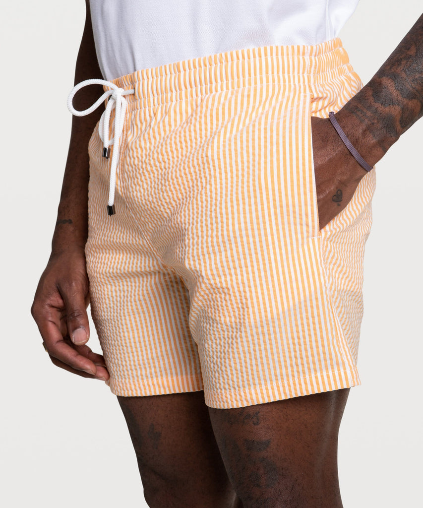 Striped Swim Shorts