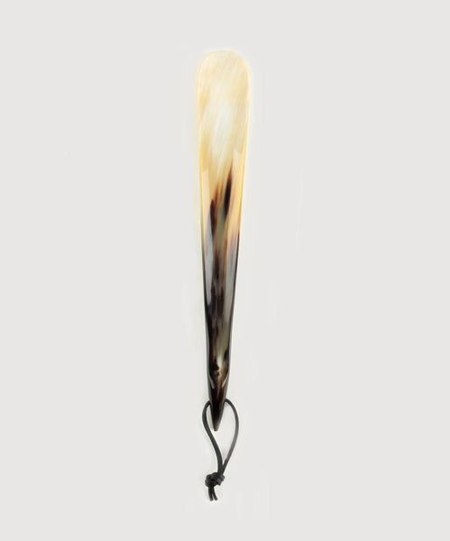 Shoe Horn