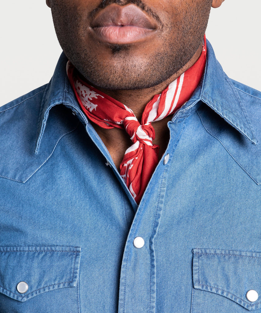 Denim Western Shirt
