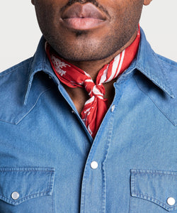 Denim Western Shirt